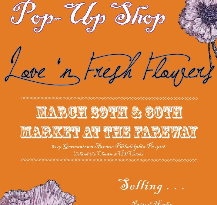 Easter Pop-Up Shop