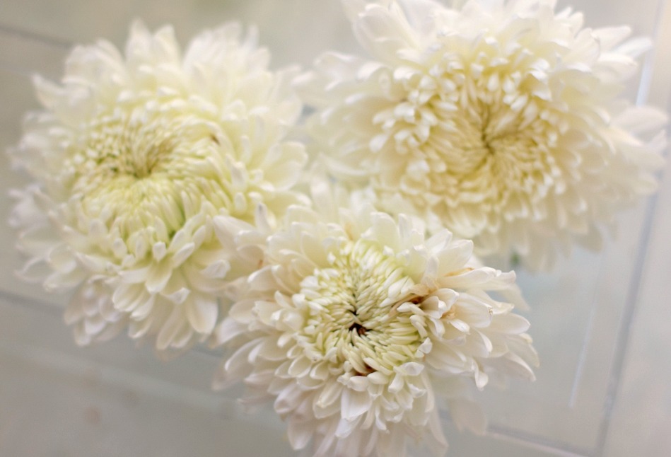 Lynn Johnson chrysant bij Love 'n Fresh Flowers