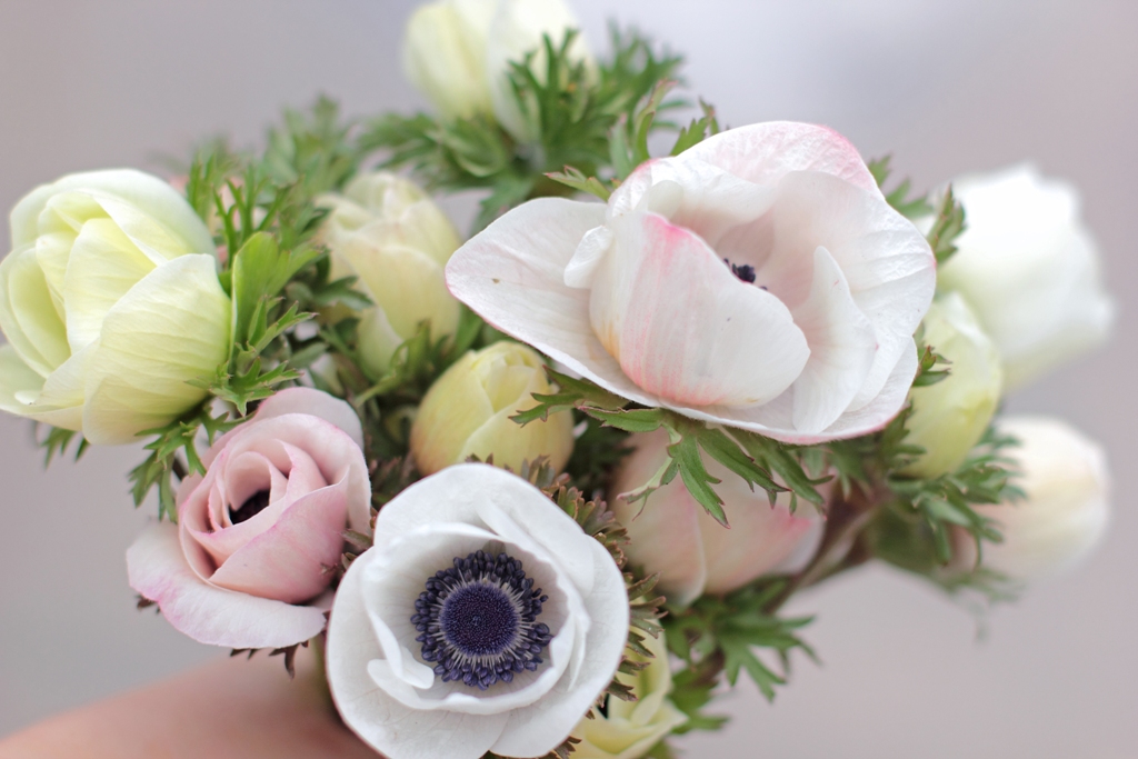 Anemones at Love 'n Fresh Flowers