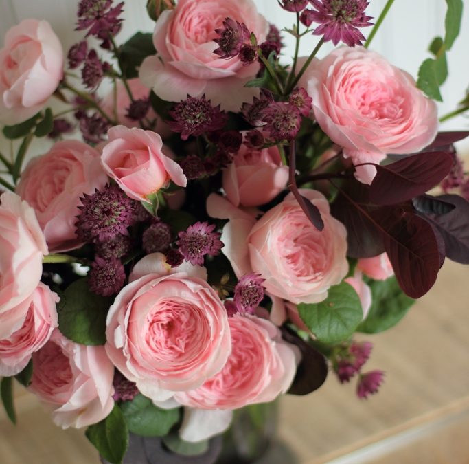 Backyard Bouquets {6.5.14}