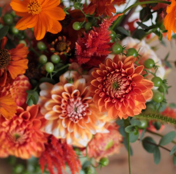 Backyard Bouquets {8.28.14}