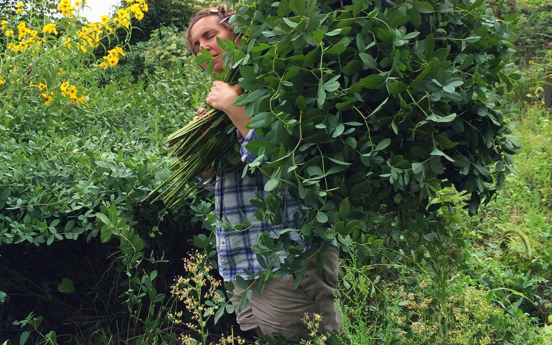 Flower Farmer Fellow :: Meet Lisa!