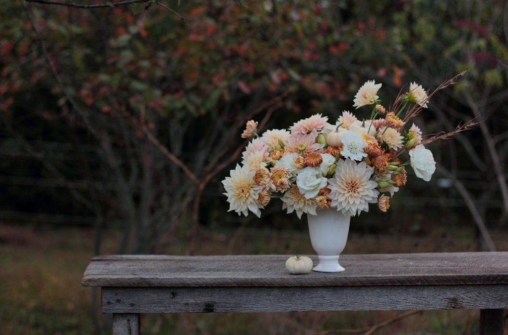 Backyard Bouquets {10.30.14}