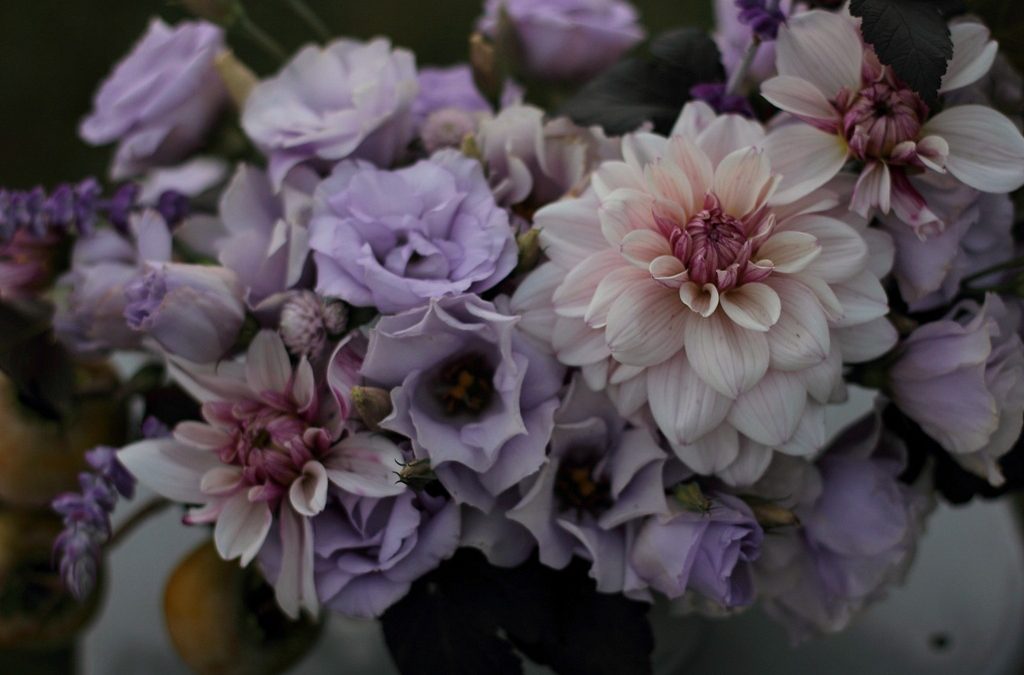 Backyard Bouquets {10.2.14}