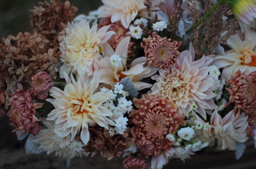 Backyard Bouquets {11.13.14}