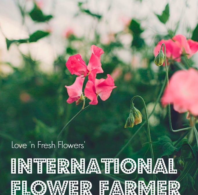2015 International Flower Farmer Fellowship :: Call for Applications