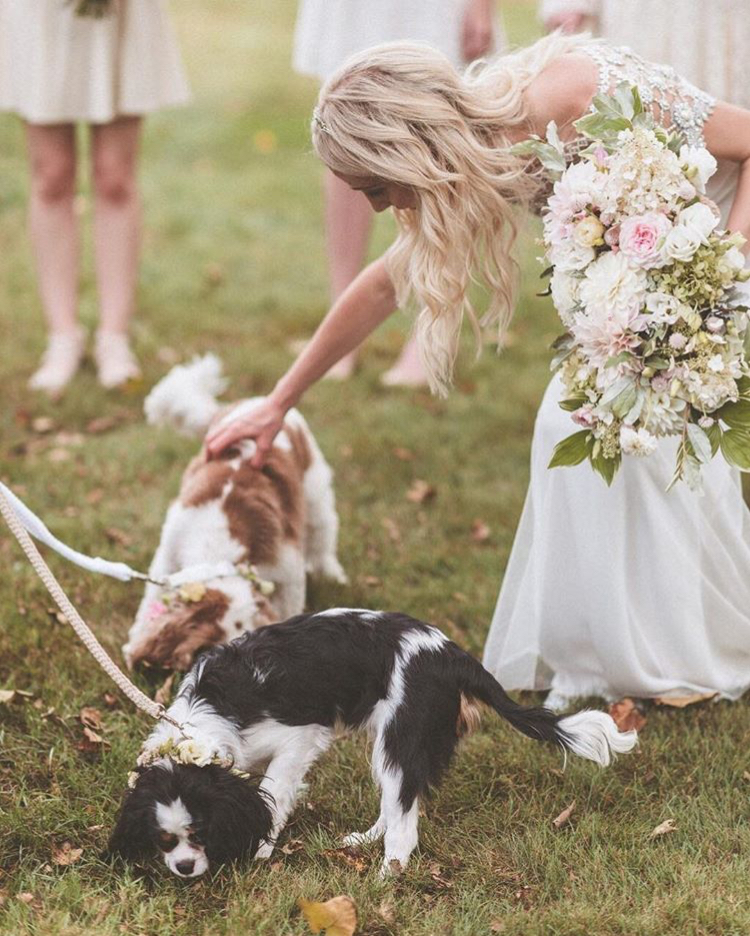 Dogs at Weddings | Emily and Andrew at the Inn at Barley Sheaf with their flower pups | Flowers by Love 'n Fresh Flowers | Photo by Paper Antler