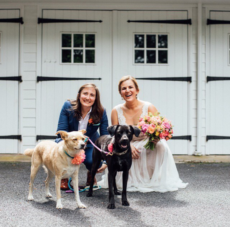 Dogs at Weddings with Flowers | Emily and Kat with Yogi and Granola | Photo by Dave Waddell