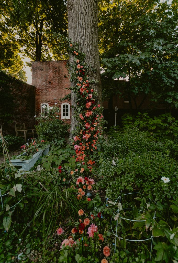 Powel House Wedding Reception | Fresh Floral Swoosh up a Tree Trunk in the Garden | Philadelphia | Flowers by Love 'n Fresh Flowers | Photo by Chellise Michael Photography