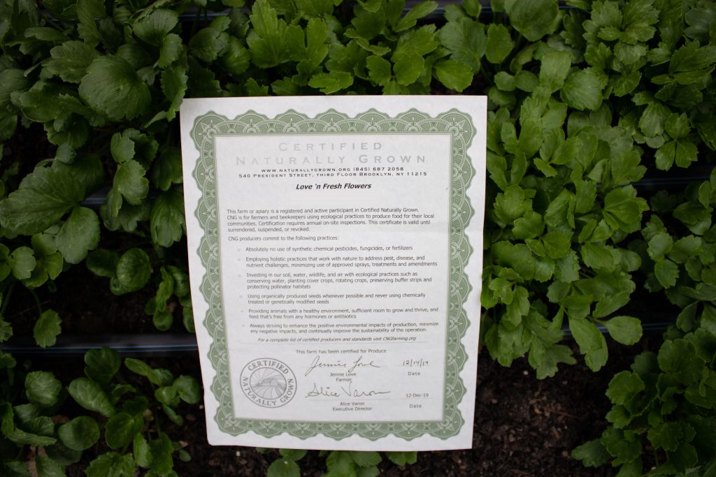 Certified Naturally Grown Flowers at Love 'n Fresh Flowers in Philadelphia
