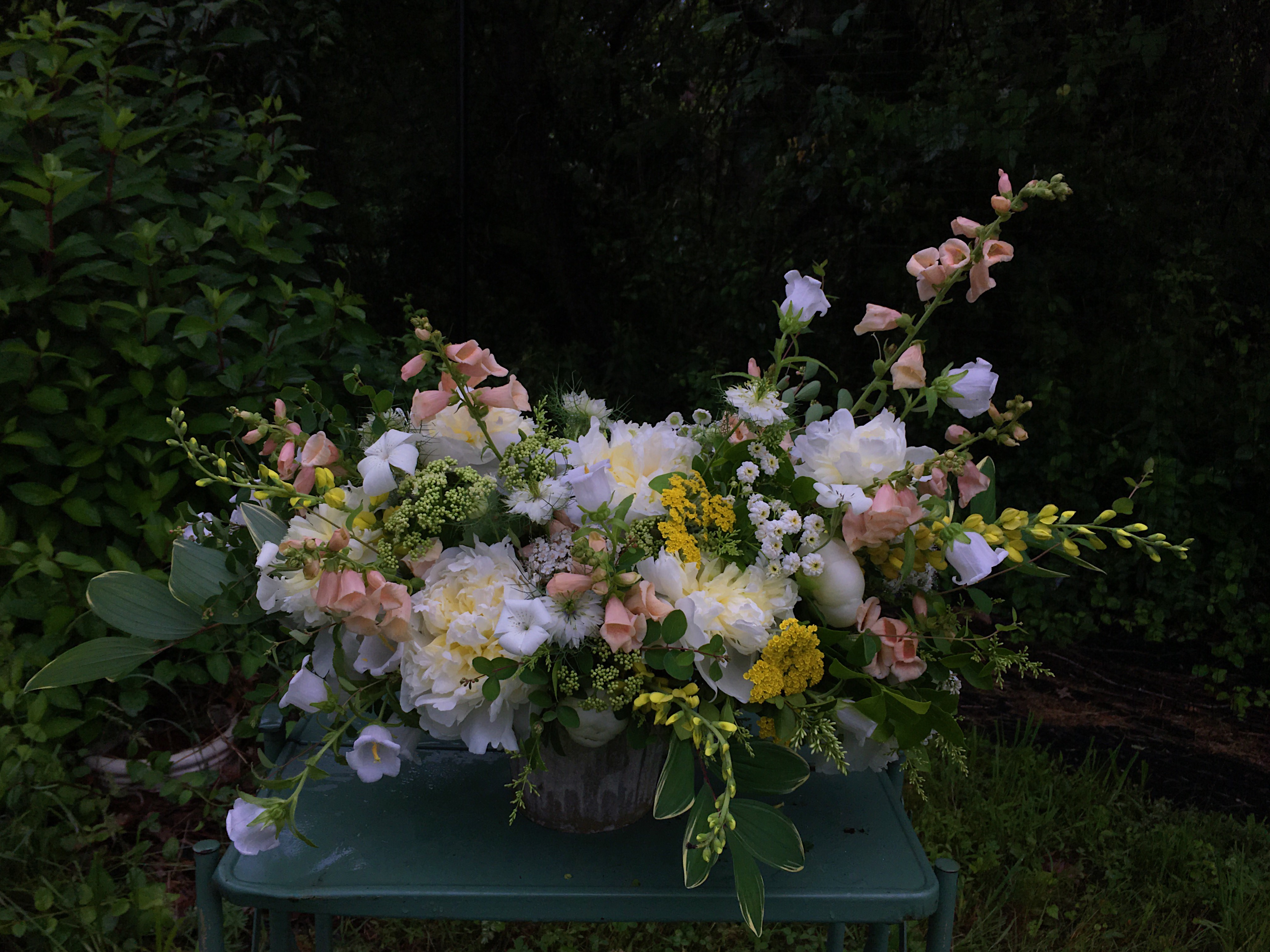 Harvest & care tips for 10 heat-loving summer blooms - Floret Flowers