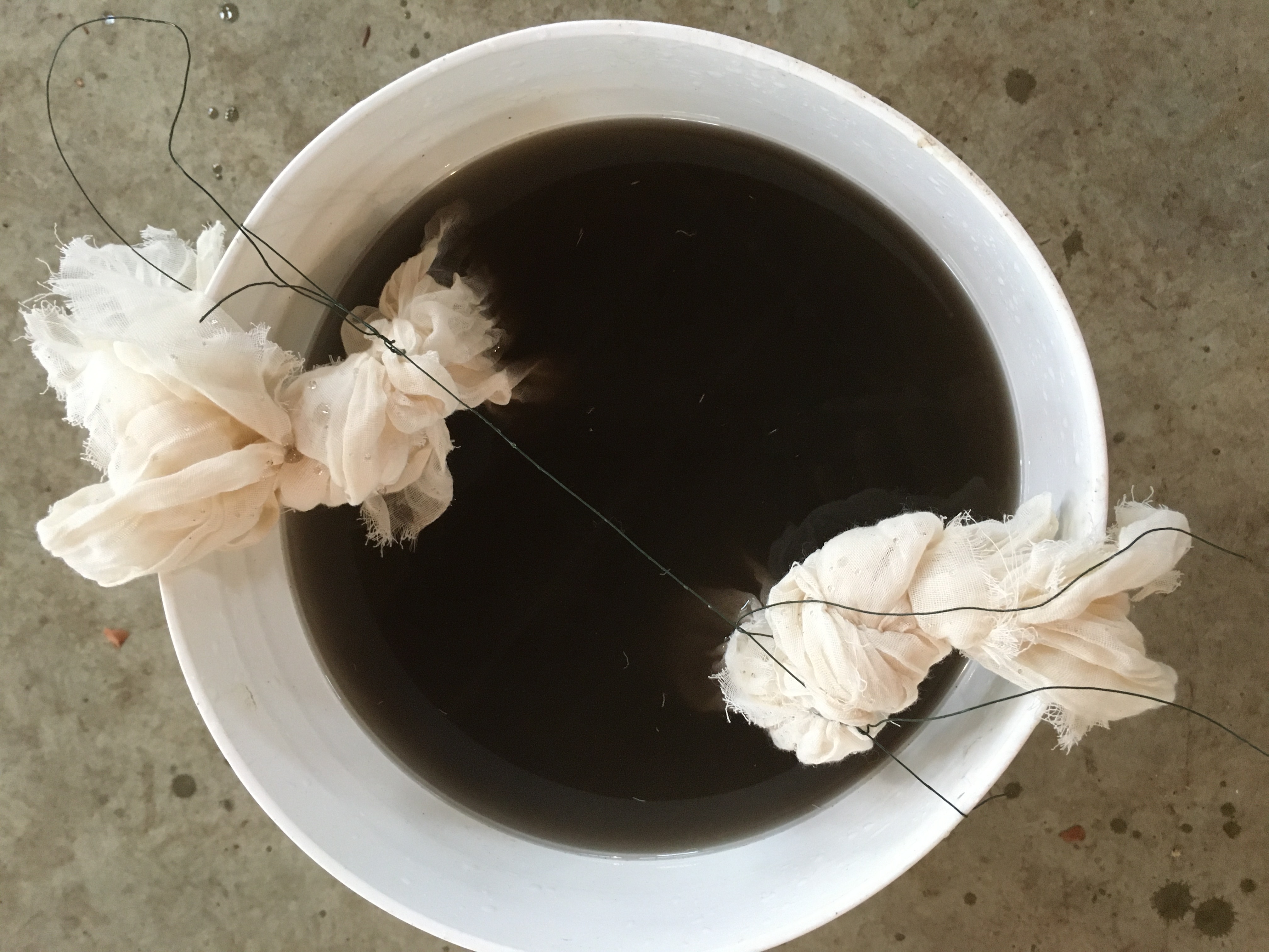 Easy Homemade Regenerative Inputs for Your Farm: Making Leaf Mold Tea or JMS