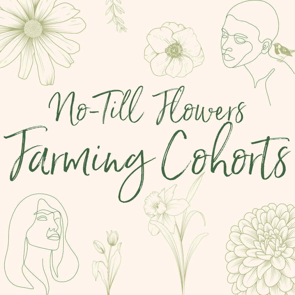 Online Courses for Flower Farmers :: No-Till Flowers Farming Cohorts with Jennie Love