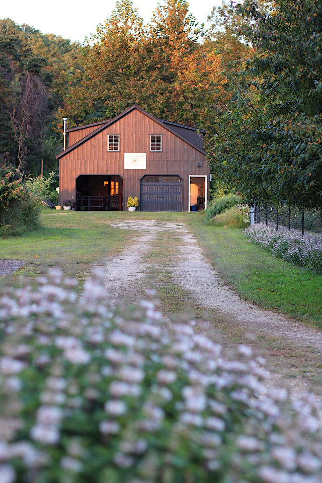 Love 'n Fresh Flowers, a flower farm in Philadelphia has a beautiful black barn to host flower workshops